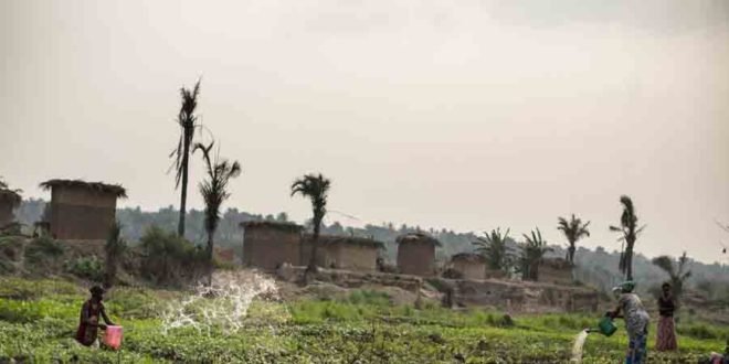 FAO et PAM apportent leur assistance à l'agriculture dans la région duKasai pour les rapatriés et personnes déplacés